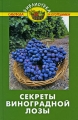 Секреты виноградной лозы Серия: Библиотека садовода и огородника инфо 5642d.